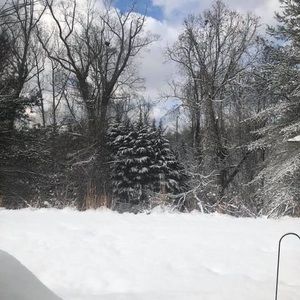 Meet your Posher, Pat